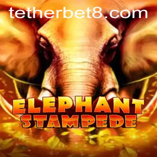 The Thrill of ElephantStampede: Mastering the Exciting Tether Bet